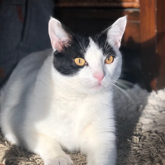 Meet your Posher, Eryn - Picture 1 of 1